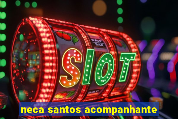 neca santos acompanhante